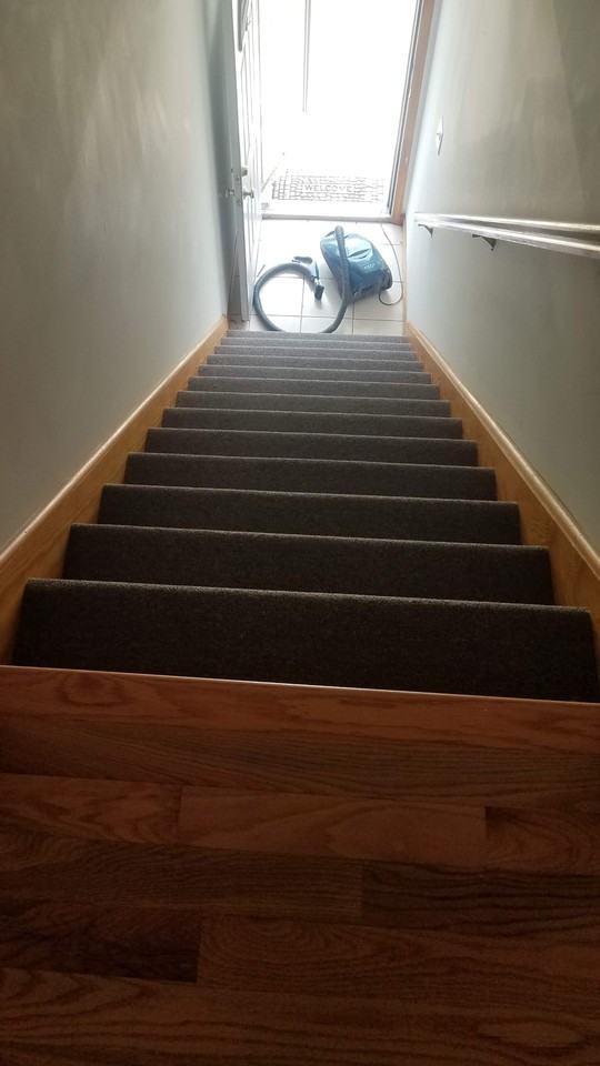 43 Elm St - Photo 5 of 16