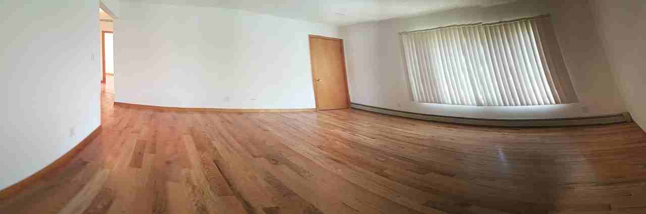 43 Elm St - Photo 7 of 16