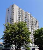 1147 Quadra St - Photo 1 of 1