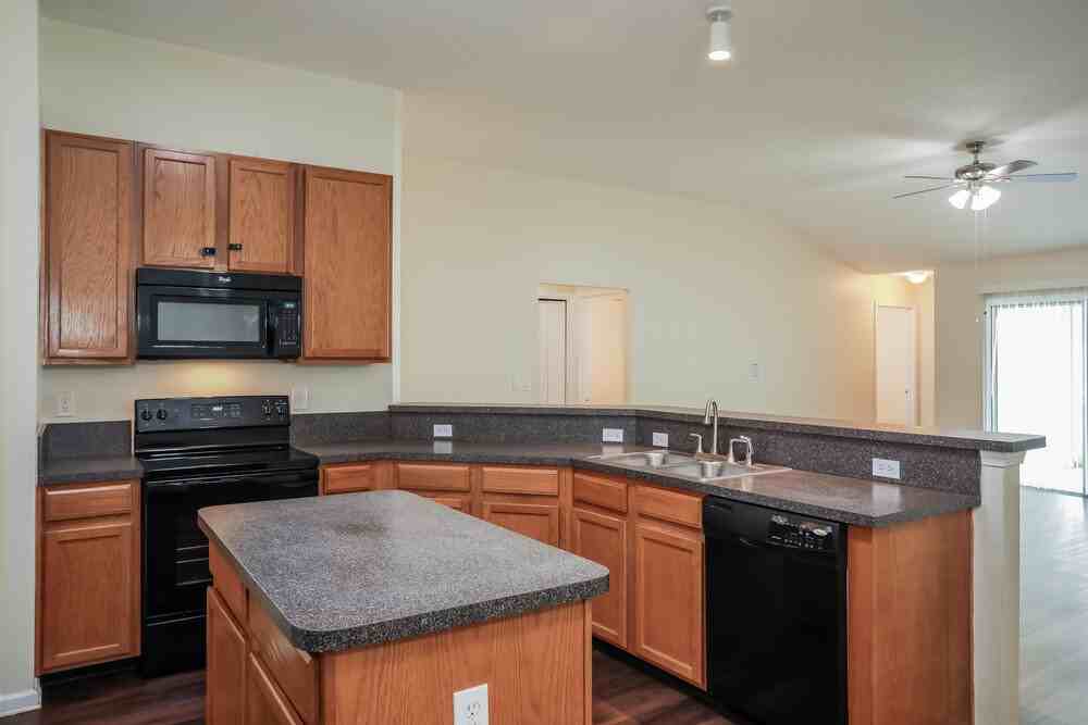 3460 Live Oak Hollow Dr - Photo 7 of 16
