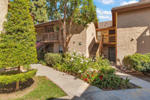 featured image of 324 Tangelo