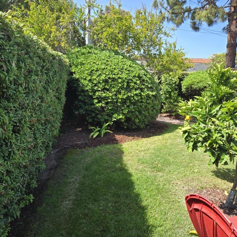 676 J Ave - Photo 7 of 39