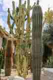 Rosemead Villas - Photo 1 of 1