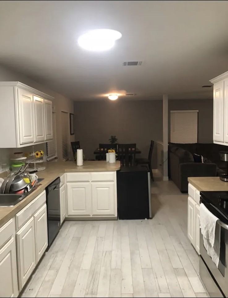 28838 Frio River Loop #NA - Photo 3 of 13