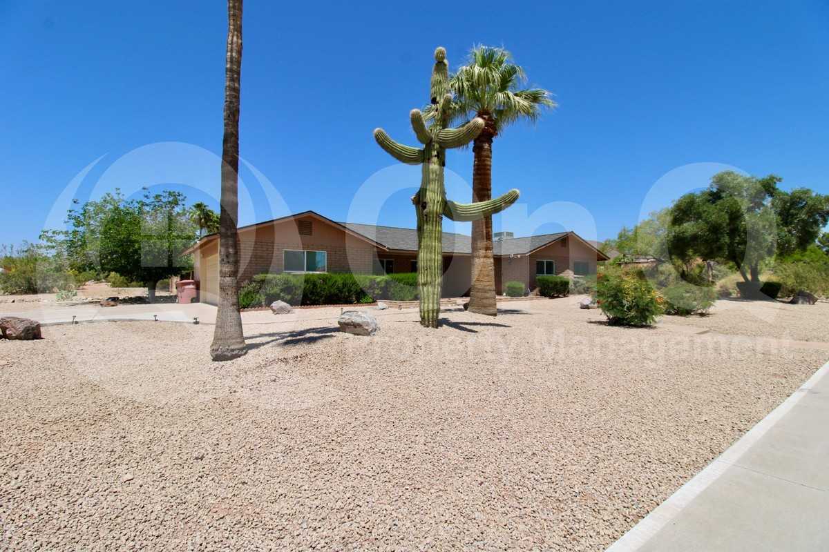 10312 E Cactus Rd - Photo 2 of 28