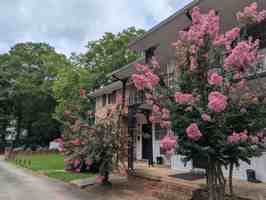 featured image of 105 Bloomfield St