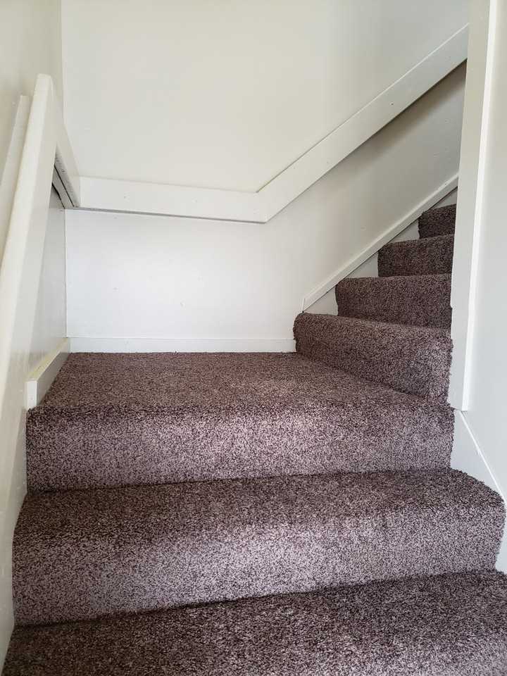 1617 Hamilton St - Photo 5 of 15