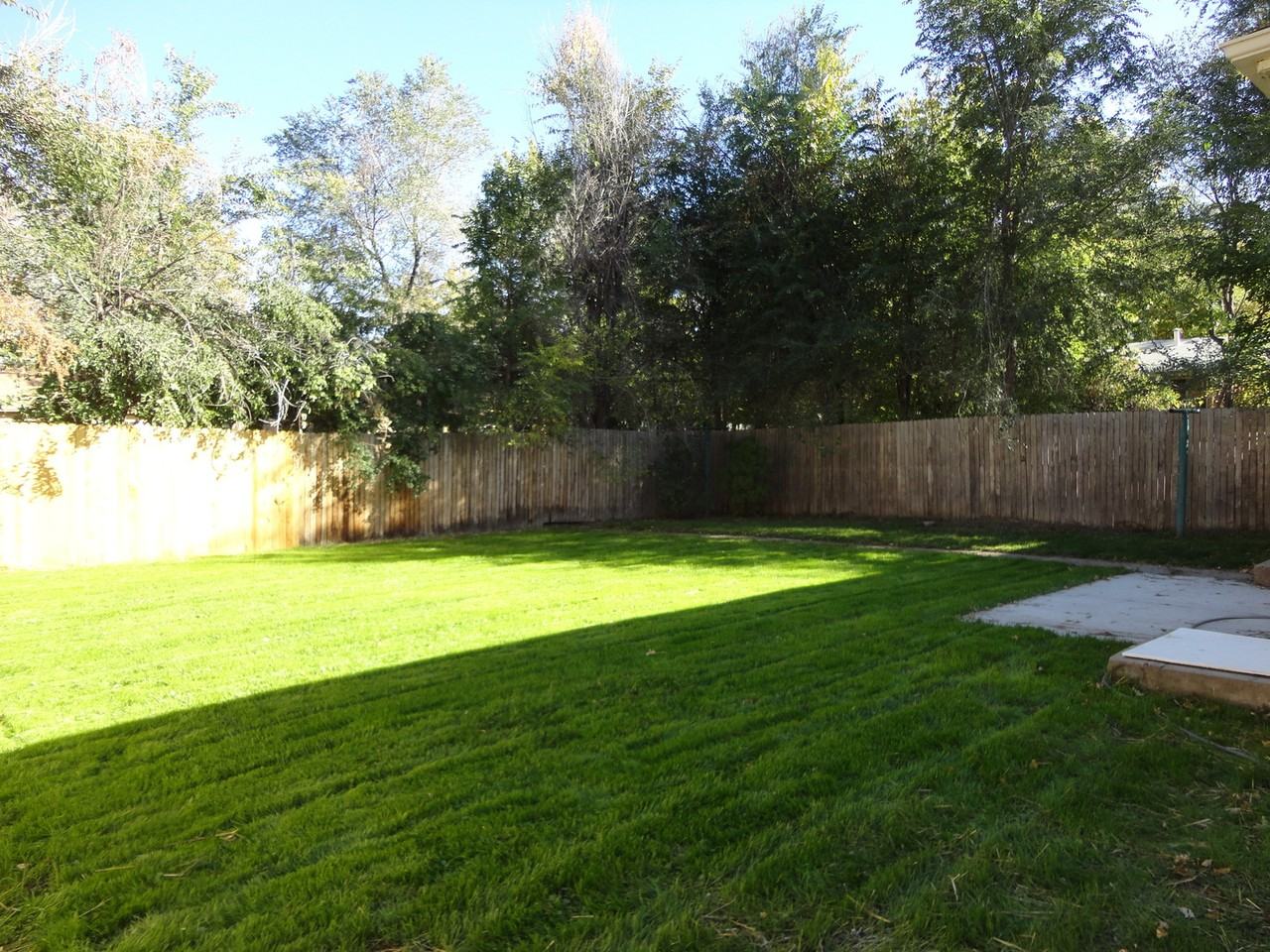 3630 Teller St - Photo 7 of 7