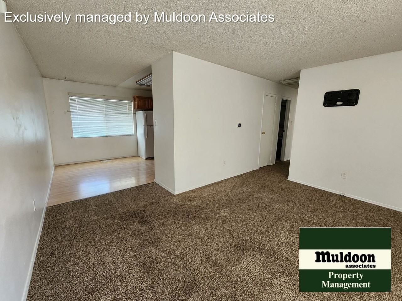 37 Massari Rd - Photo 3 of 12