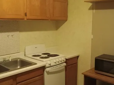 316 E Flaming Gorge Way #209