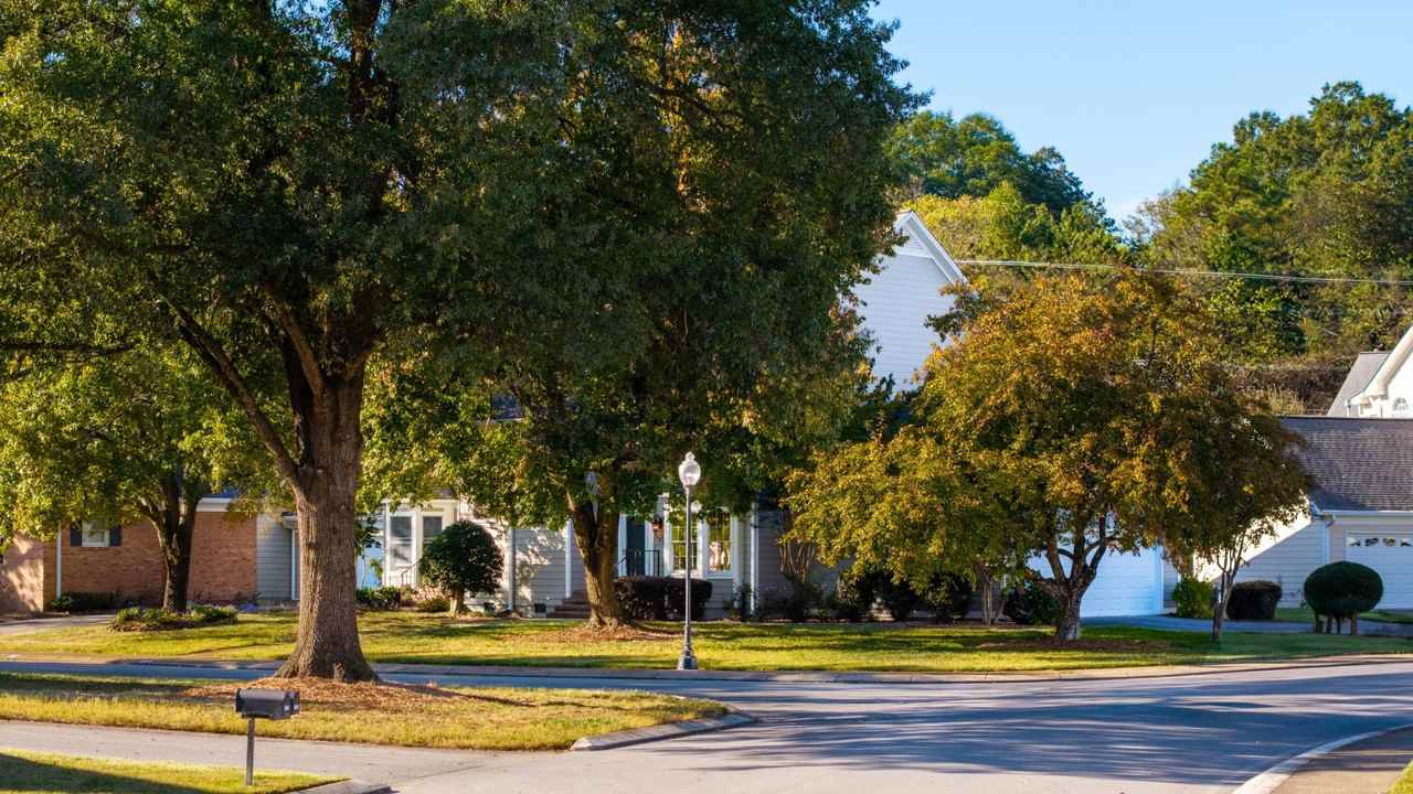 2019 Clearfield Ln - Photo 3 of 50