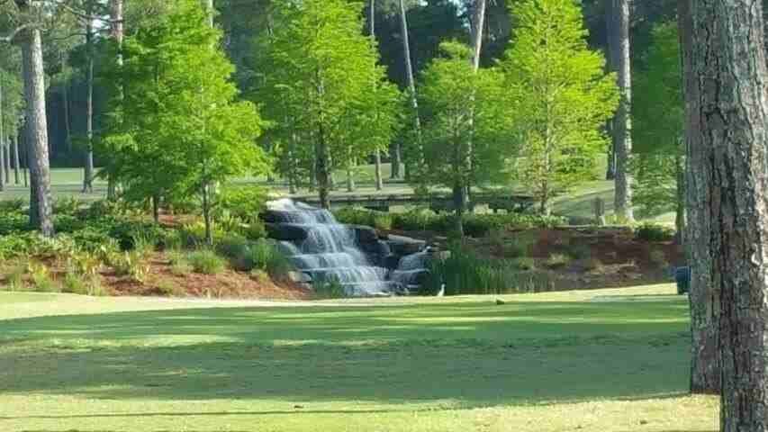 846 Indigo Loop - Photo 2 of 17