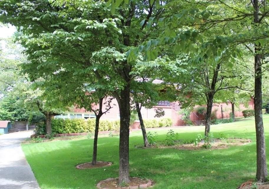 3872 Orchard Rd Se - Photo 4 of 14