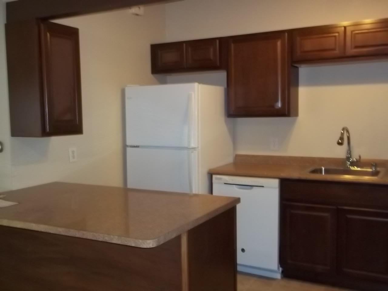 1011 Olivia Ave - Photo 6 of 10