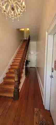 1520 Saint Mary St #D - Photo 6 of 30