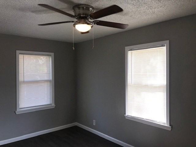 2417 Lowriemore Ln - Photo 3 of 7
