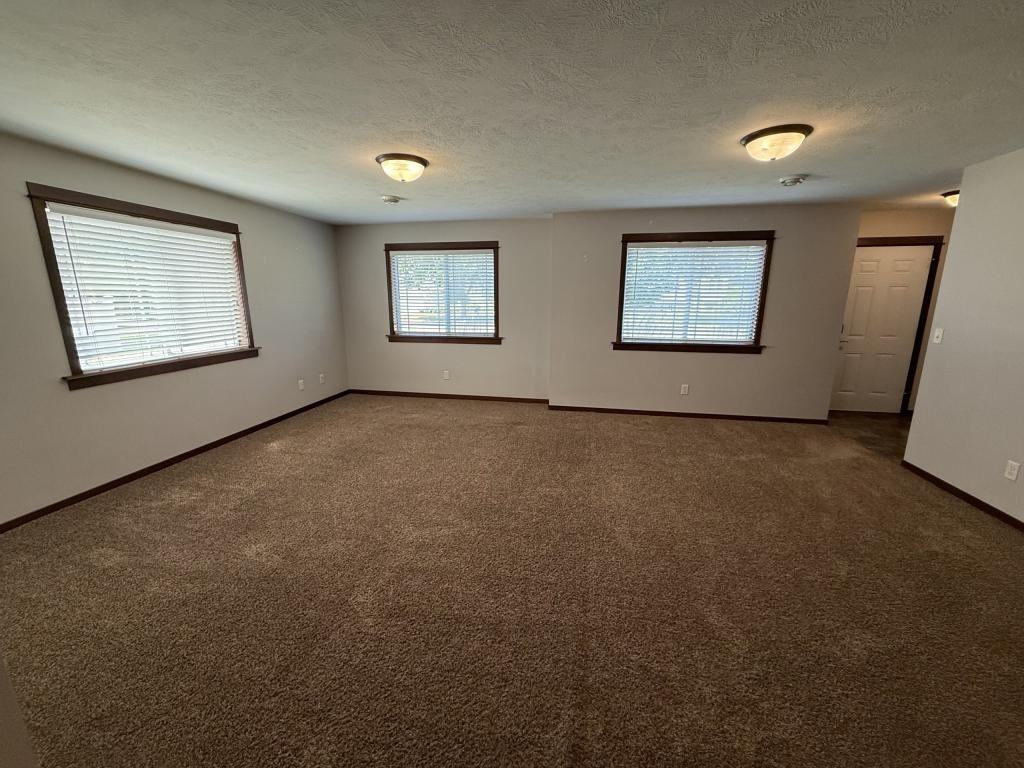1233 17th Ave S Apt D - Photo 3 of 20