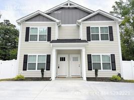 featured image of 119 Cannon St #1