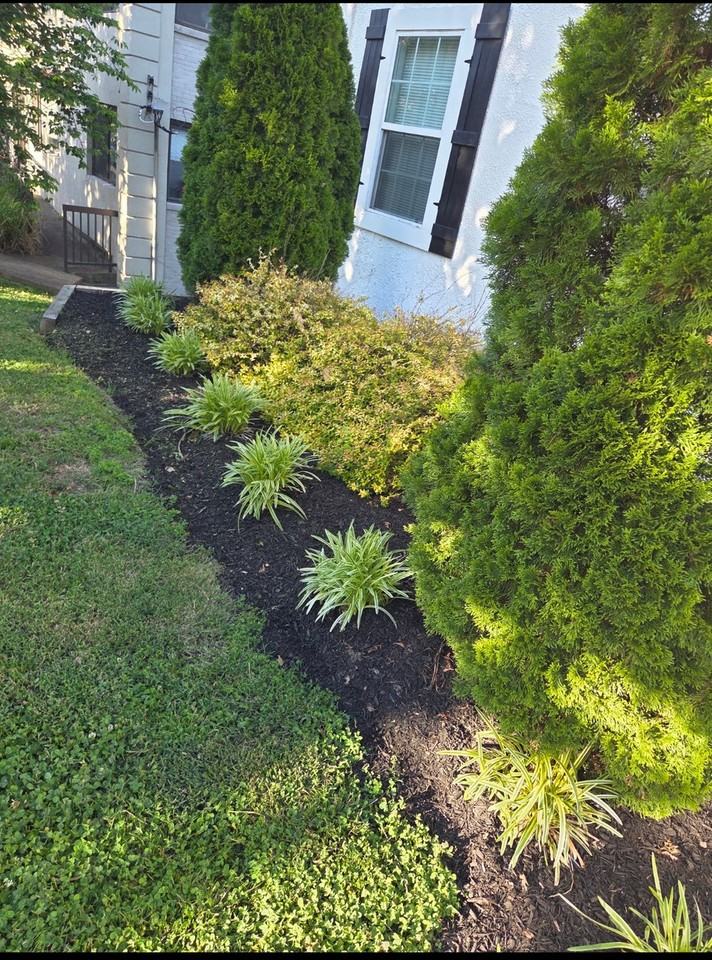 1624 16th Ave S #202 - Photo 3 of 9