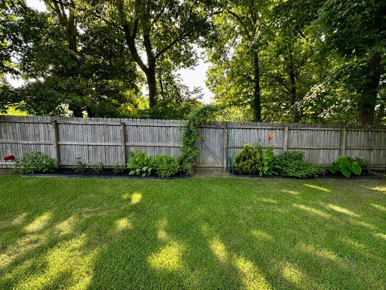 3211 Shadow Green Ln - Photo 4 of 5