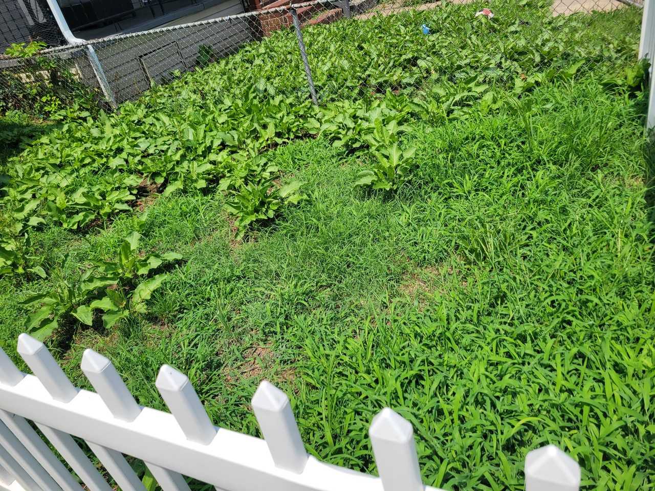 3808 Pennington Ave - Photo 2 of 15