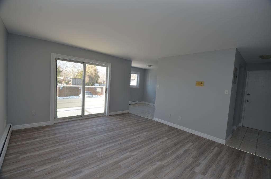 567 Ontario Street #7 - Photo 4 of 18