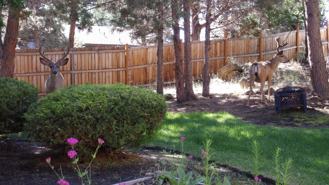 1133 NE Hidden Valley Drive - Photo 1 of 1