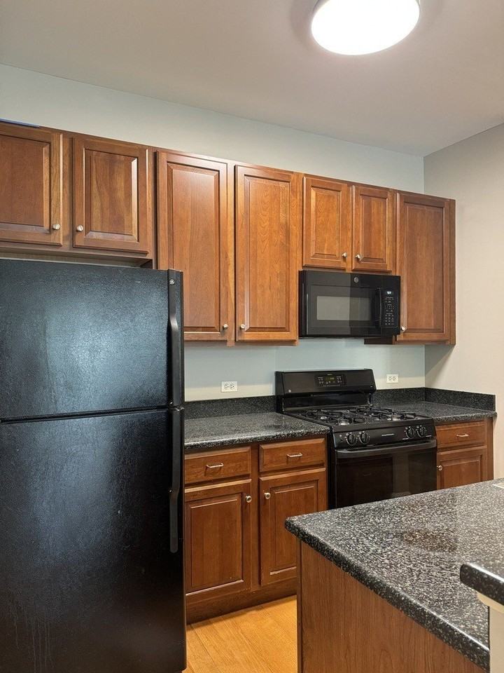 647 N Green St #207 - Photo 3 of 6
