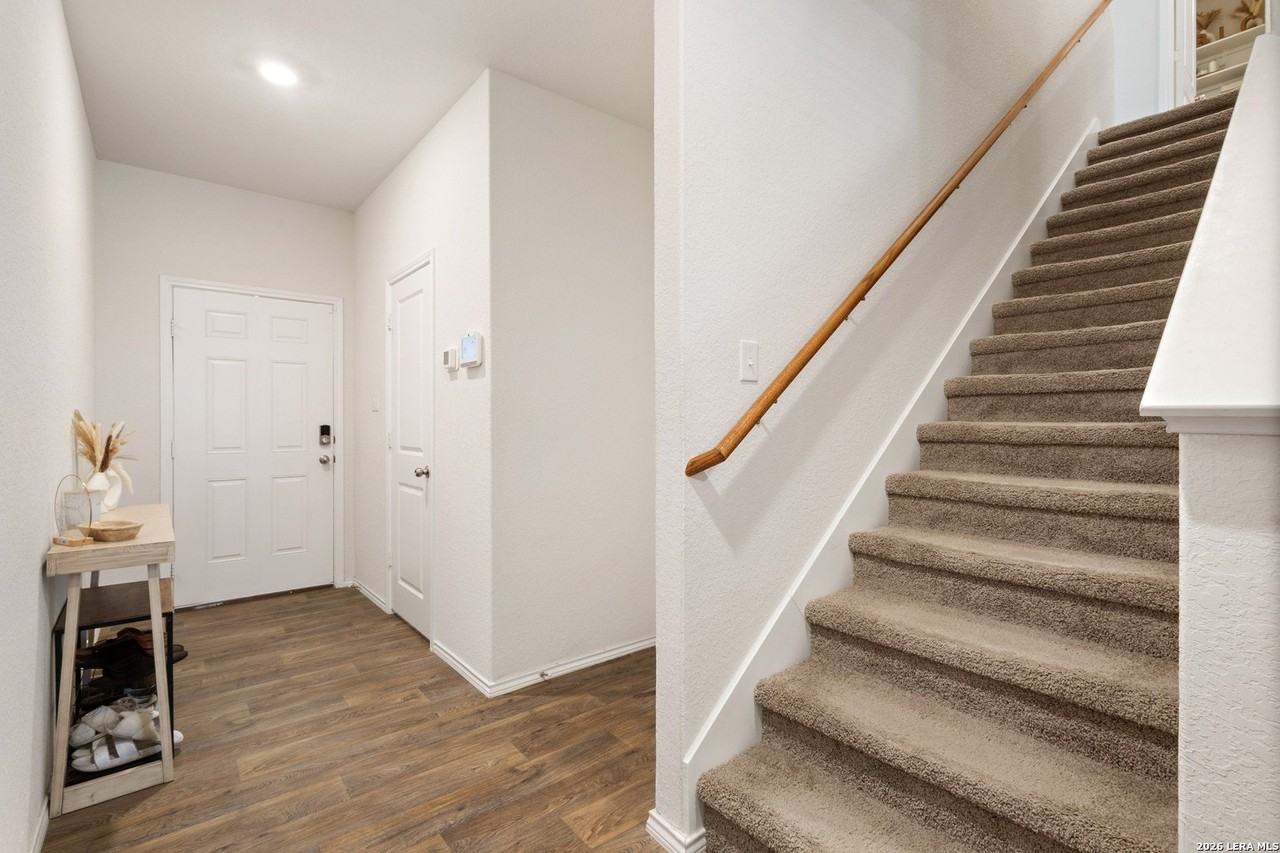 20523 Lorena Xing - Photo 3 of 24
