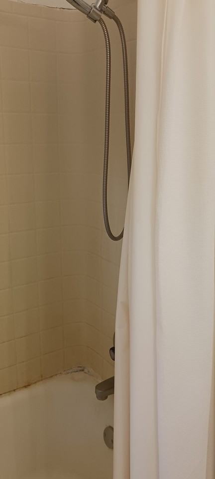 703 Wheaton Ave #3 - Photo 5 of 8