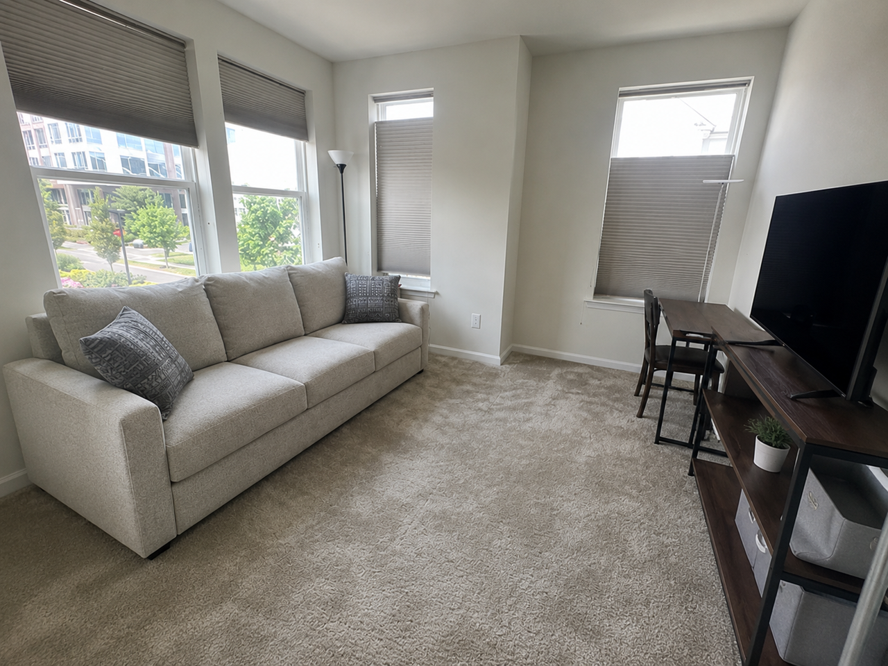 5 Sadie Cir #5105 - Photo 4 of 12