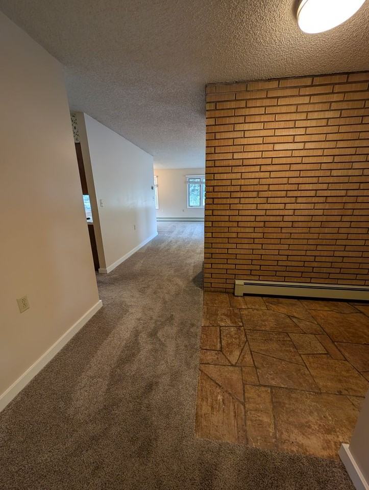 8731 Haggerty Ln - Photo 3 of 18