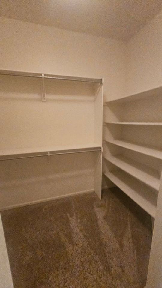 2109 Grays Peak Dr #103 - Photo 5 of 13