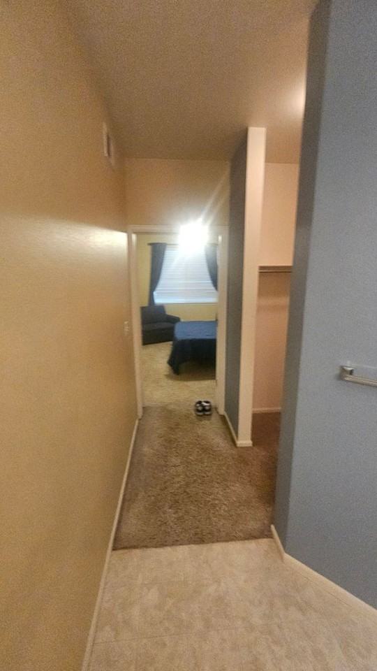 2109 Grays Peak Dr #103 - Photo 6 of 13