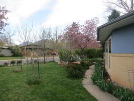 featured image of 1965 Grape Ave
