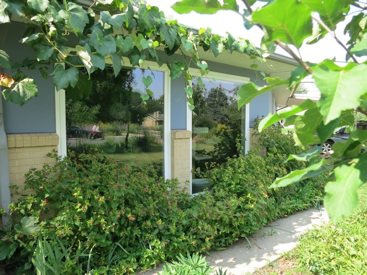 1965 Grape Ave - Photo 2 of 18