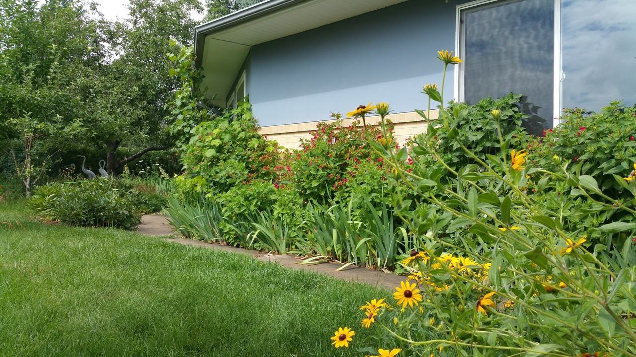 1965 Grape Ave - Photo 3 of 18