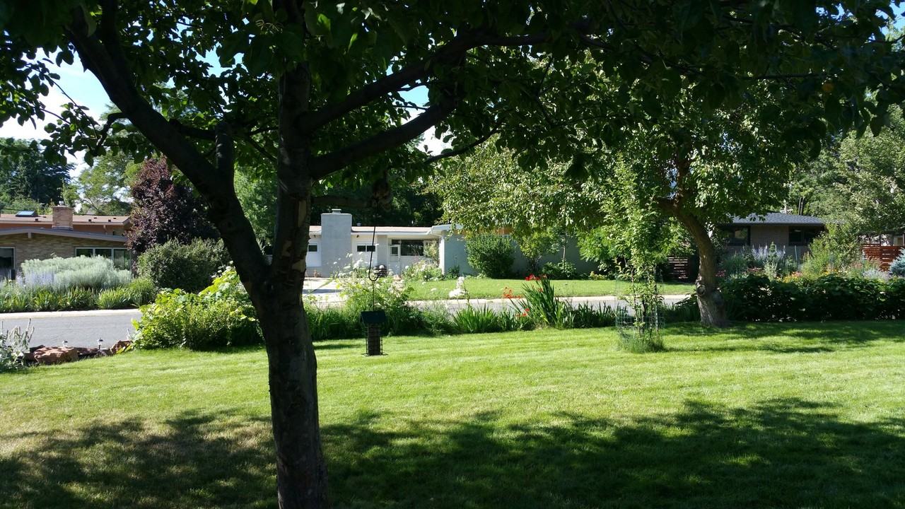 1965 Grape Ave - Photo 5 of 18
