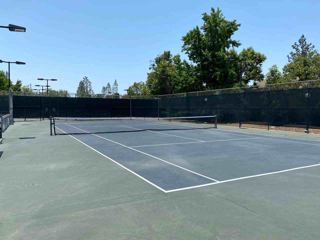 147 Lemon Grv - Photo 5 of 6