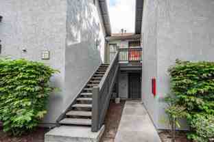 224 Orange Blossom - Photo 1 of 1