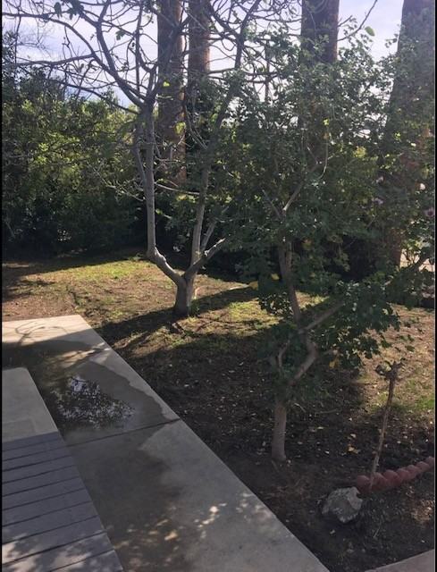 5729 Bertrand Ave #NA - Photo 6 of 24