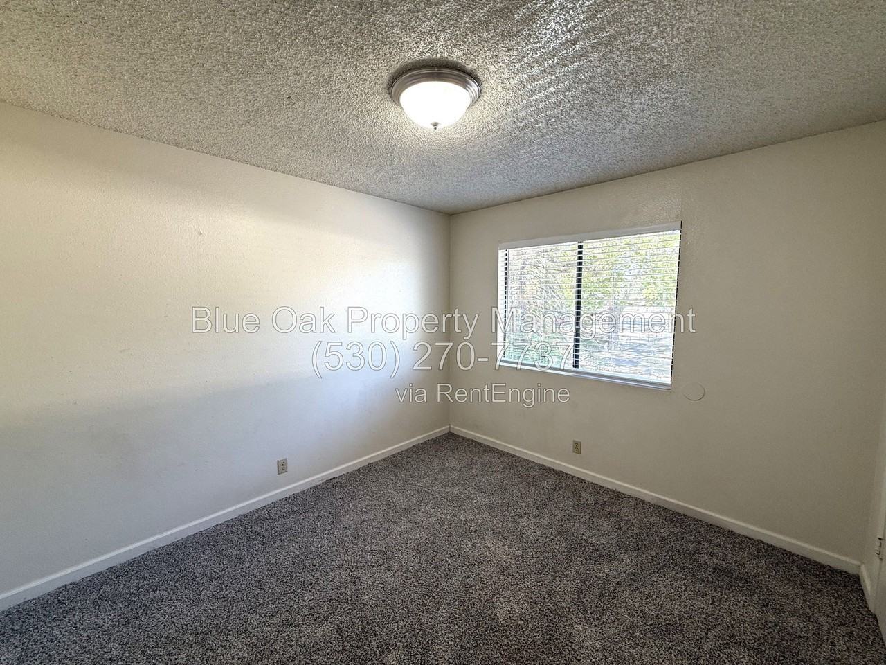985 Salem St - Photo 7 of 9