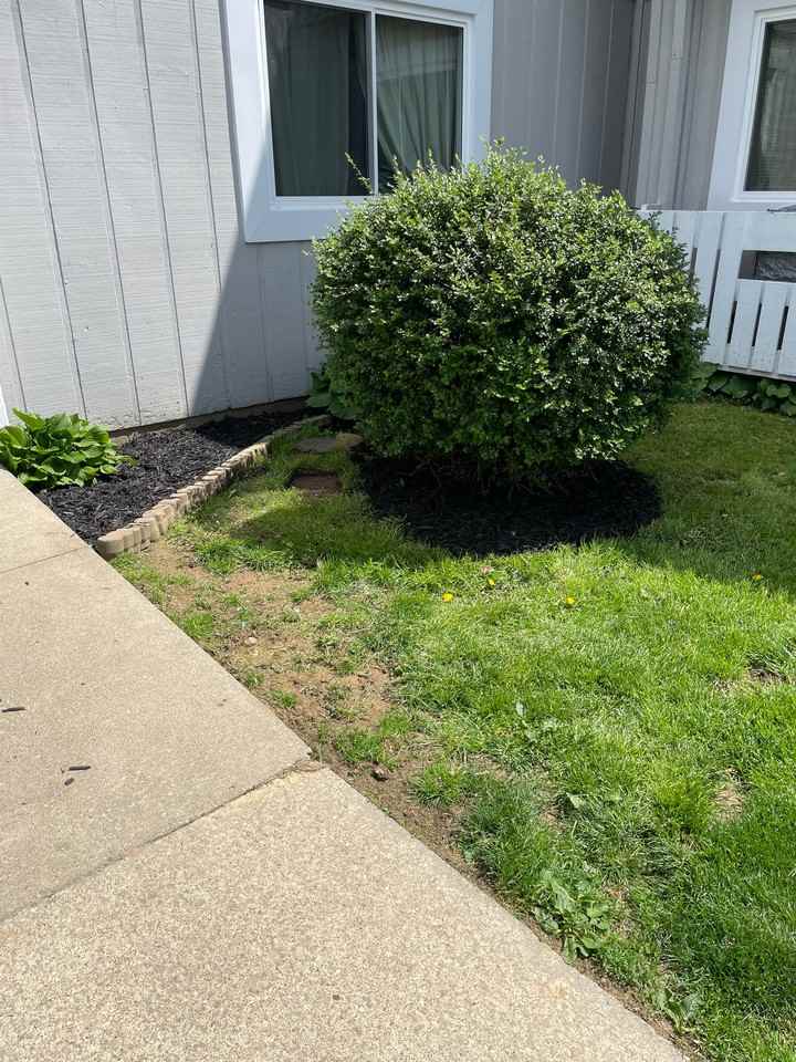 616 S Main St #A1 - Photo 6 of 12