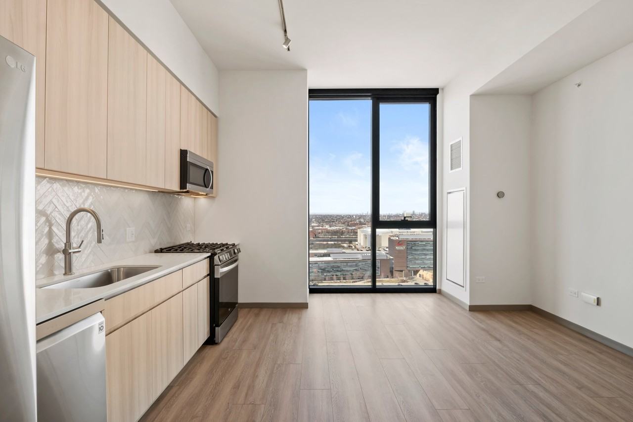 507 S Damen Ave - Photo 3 of 20