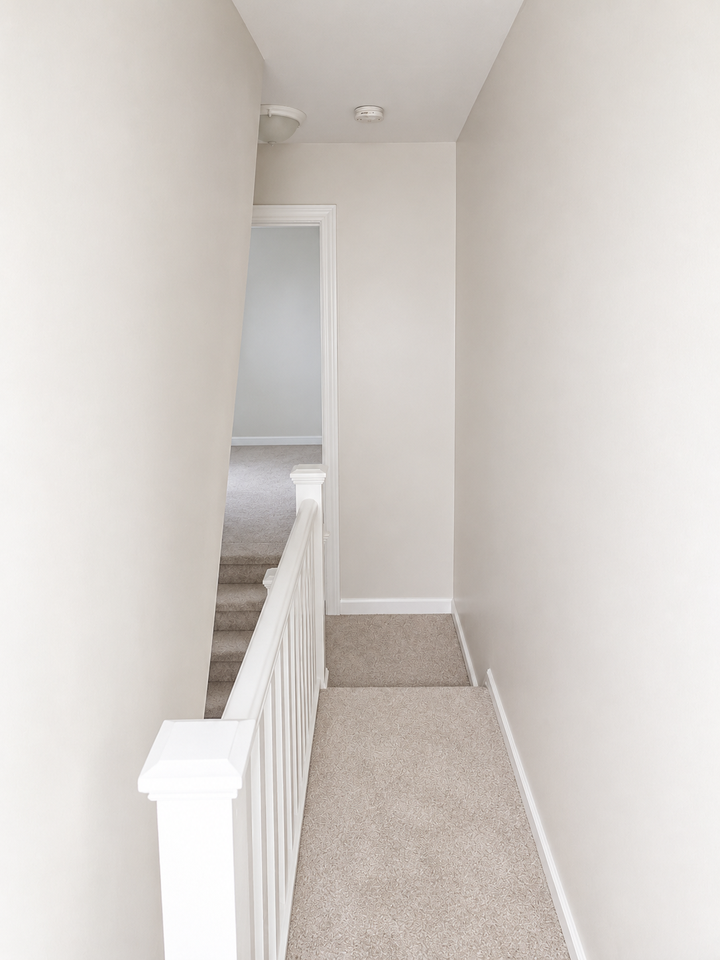 1037 Spruce Street - Photo 6 of 13