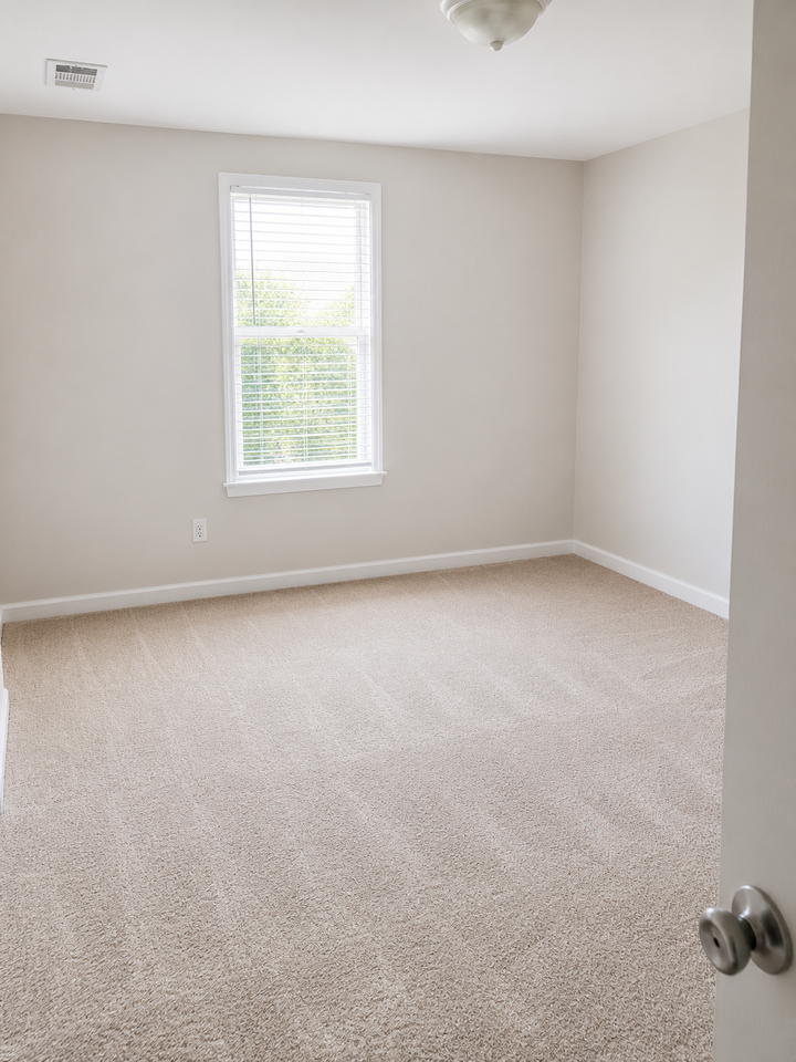 1037 Spruce Street - Photo 7 of 13