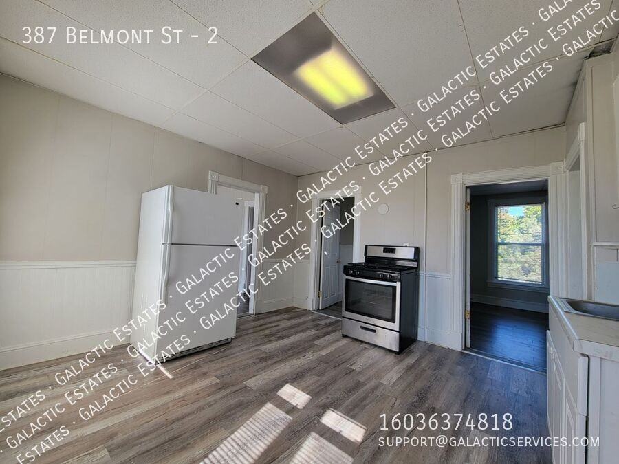 387 Belmont St #2 - Photo 3 of 22
