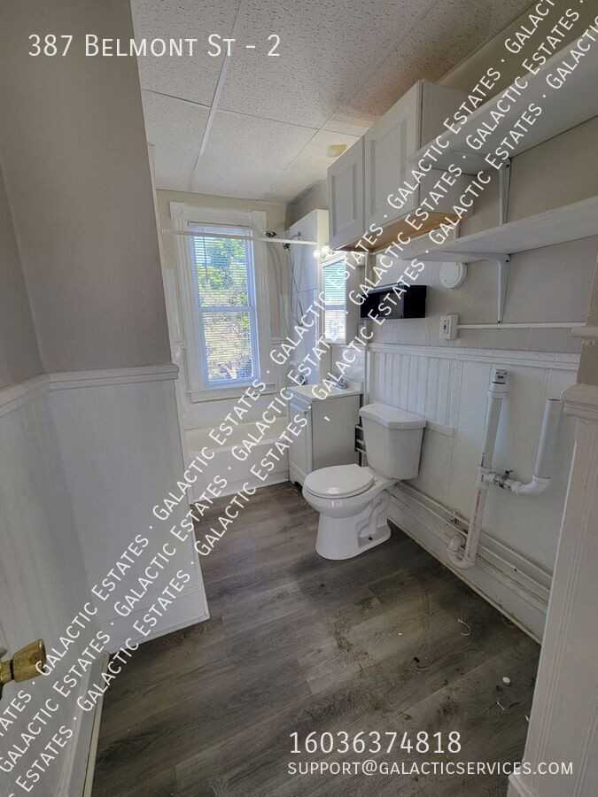 387 Belmont St #2 - Photo 4 of 22
