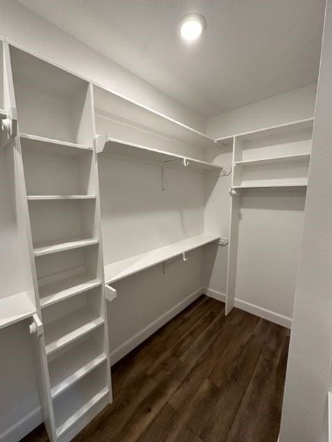 7532 Salerno Ct - Photo 6 of 20
