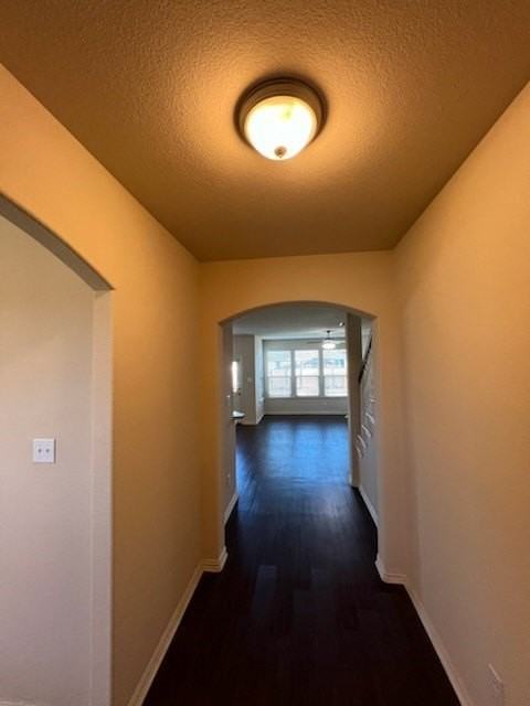 3729 Caladium Ln - Photo 3 of 23